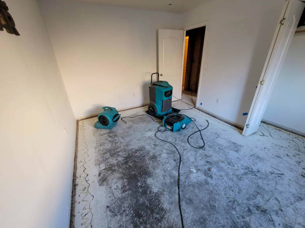 Best 24-hour water damage restoration  in Demopolis, AL