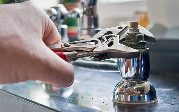 Best Water damage restoration near me  in Demopolis, AL