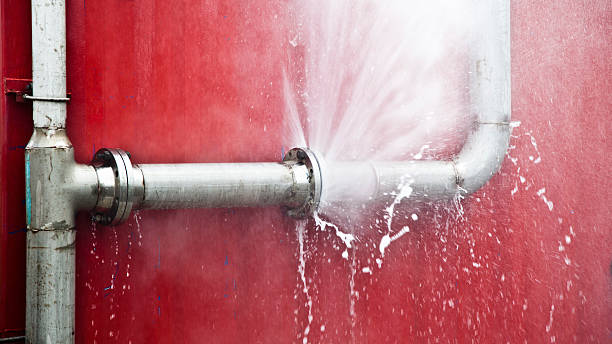 Best Mold removal after water damage  in Demopolis, AL